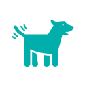 dog daycare icon